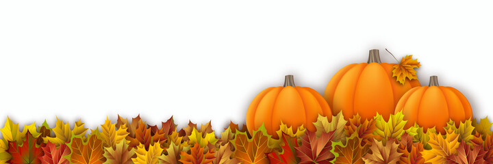 Pumpkins and Colorful Fall Maple Leaves. Seasonal Vector Illustration