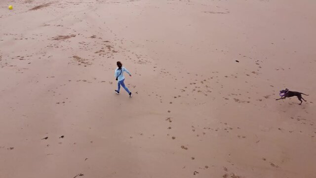 Young girl with a weimaraner dog playing on Omaha beach located in Normandy, France