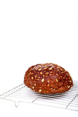 Freshly baked Pumpernickel boule rye bread on a wire cooling rack