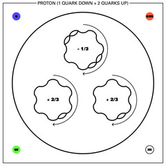 Conceptual vector illustration of a fermion hadron baryon, the proton - made up of two quarks up and one quark down - and some of its proprieties: mass, charge, flavour, spin and interaction forces.