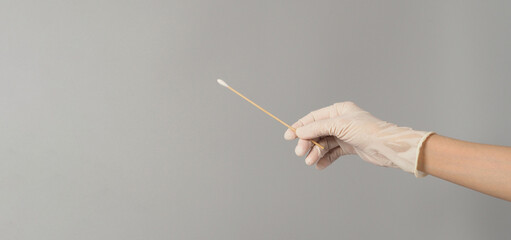Cotton stick for swab test in hand with white medical gloves on grey background.