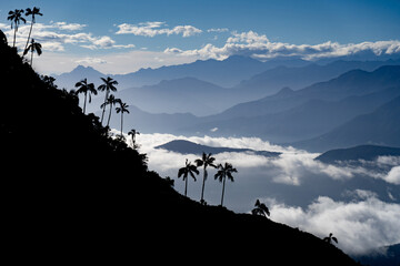 View of the tropical mountains with cloudscape and palm tree foreground. Travel and adventure concept