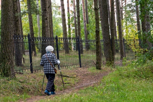 An energetic elderly woman is engaged in Nordic walking in the park in the summer