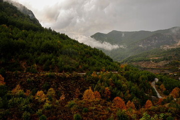 Newly paved empty mountain switchback road. Autumnal background with yellow leaves on trees wet...