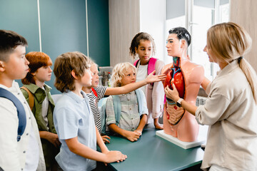 Teacher explaining showing internal organs at the educational dummy manikin at the biology lesson...