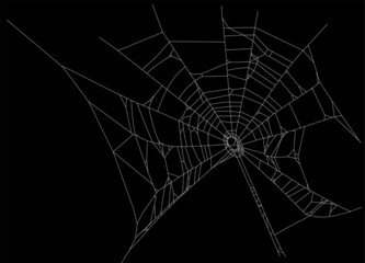 white isolated old spider web illustration