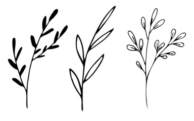 Botanical linear leaf set. Abstract minimalist leaves collection, creative herbal art. Hand drawn wedding herb, plant and monogram with elegant leaves for invitation save the date. Vector illustration