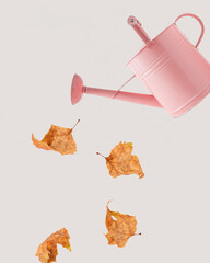 Withered, dry, golden plane tree leaves fall out of the pink metal watering can. Minimalist natural autumn season arrangement isolated on a pastel beige background. Autumn season note card concept.