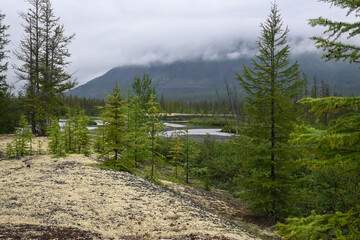 Fototapeta na wymiar The Muksun River on the Putorana Plateau.