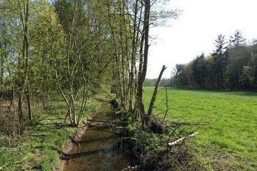 Bach bei Babenhausen, Hessen