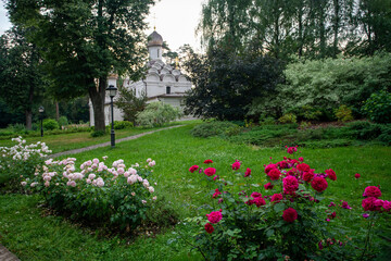 Amazing roses in Church garden (as dostoevsky wrote, nurtured by the skillful hand of a gardener)