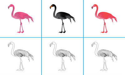 Pink,Black and Red Flamingo Bird Coloring Pages Design