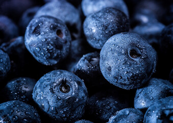 Fresh Blueberries in macro photo