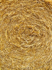 bale of hay