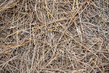 hay bale texture, hay close-up, dried grass © Rauno