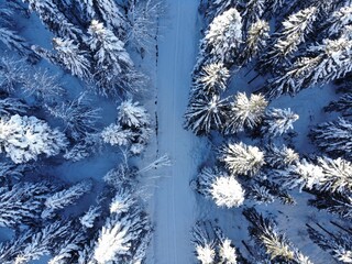 Snow trees created by dji camera