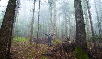Lonely man in a big foggy forest. Foggy morning in the forest.
