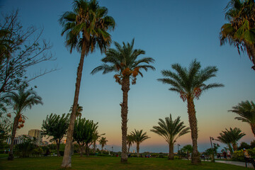 Fototapeta premium ANTALYA, TURKEY: Park near Waterfall Duden on an evening summer day in Antalya.