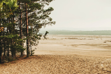 Bledow desert (pustynia bledowska) biggest sand desert in Silesia region in Poland © marcinm111