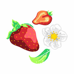 Strawberry, flower and leaf collection fruit vector design