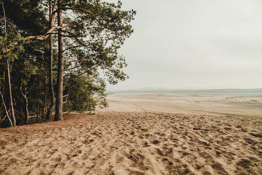Bledow desert (pustynia bledowska) biggest sand desert in Silesia region in Poland