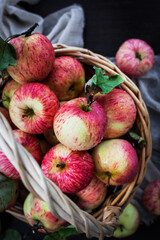Fresh ripe autumn red apples in basket on rustic background