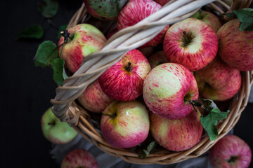 Fresh ripe autumn red apples in basket on rustic background