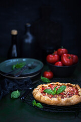 Delicious homemade rustic tomato and cheese open pie (galette)