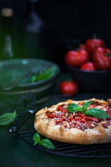 Delicious homemade rustic tomato and cheese open pie (galette)