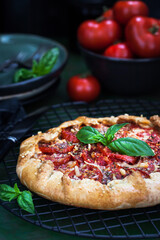 Delicious homemade rustic tomato and cheese open pie (galette)