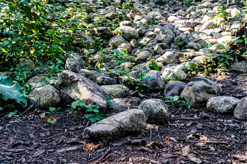 A platform in the forest, strewn with large round stones left over from a dry river