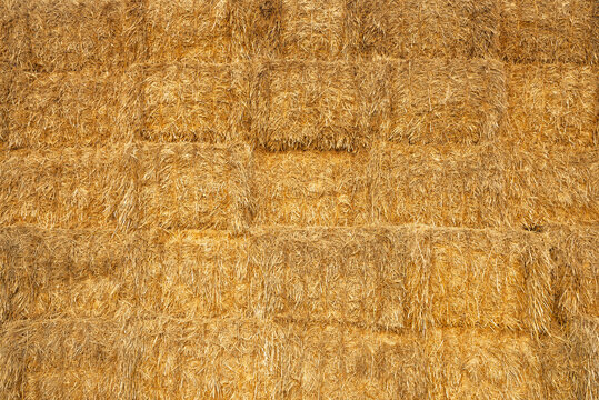 fond, texture bottes de paille empil&eacute;es