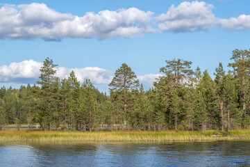 Clouds over the lake and in the forest. Northern landscape. Lake. Forest. Blue sky. Cotton clouds.