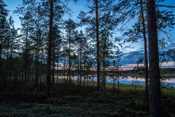 Night lake. Dark blue sky. Night landscape. Northern nature.