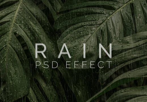 Rain Overlay Effect Add-On