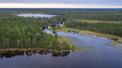 Northern nature. Panorama of the forest. Lake, forest, river. Beautiful landscape with lake and forest. Sunset and sunrise. Reflection of the forest in the water.