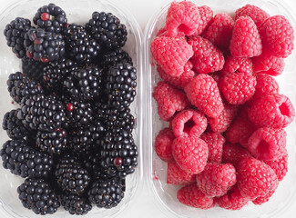 blackberry and raspberry fruit