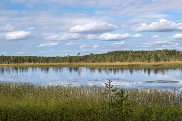 Fototapeta premium Northern nature. Panorama of the forest. Lake, forest, river. Beautiful landscape with lake and forest. Sunset and sunrise. Reflection of the forest in the water.