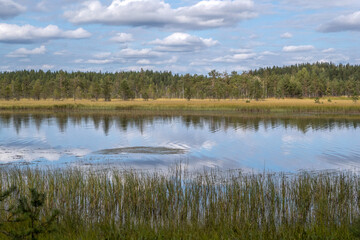 Northern nature. Panorama of the forest. Lake, forest, river. Beautiful landscape with lake and forest. Sunset and sunrise. Reflection of the forest in the water.