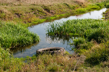 river in the field