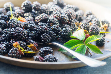 Blackberry on metal plate and fork. Low shallow focus, selective focus