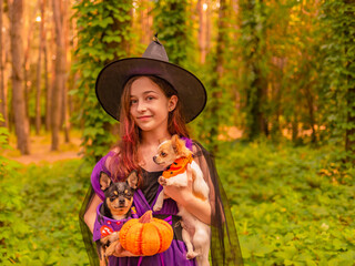 Halloween concept. Teenage girl with two chihuahua dogs in the forest on Halloween.