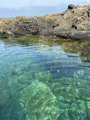 Piscine naturel