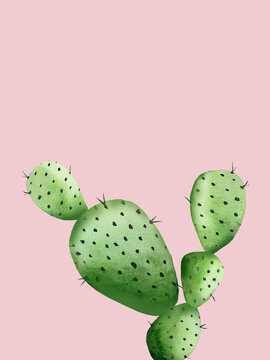 Green cactus on light pink. South western plant. Botanical detail for greeting, invitation, card, postcard. Watercolour illustration isolated on light pink background.