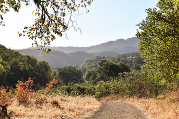 Trail Leading Into Buck Gulch Falls With Beautiful Rolling Hills In Novato California 