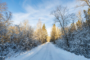 Gorgeous winter nature landscape view. Bend of country road and frosty forest trees. Sweden.