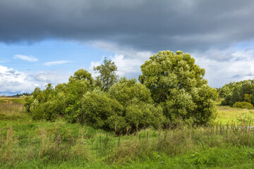 Riviera Natural Park with bright vegetation in the summer city of Mozhaysk. Russia
