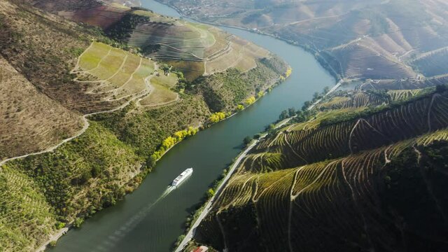 Panoramic view of cruise ship traveling between green mountains on Douro river, Peso da Regua, Vila Real, Portugal, Europe. Drone shot of rows of vineyards growing on banks of river, 4k footage