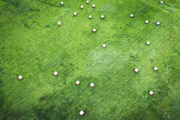 Champ vert agricole au drone en été