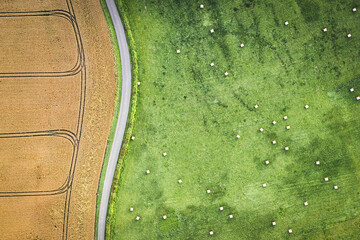 Champ vert agricole au drone en été